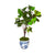 faux fiddle fig tree in blue and white pot