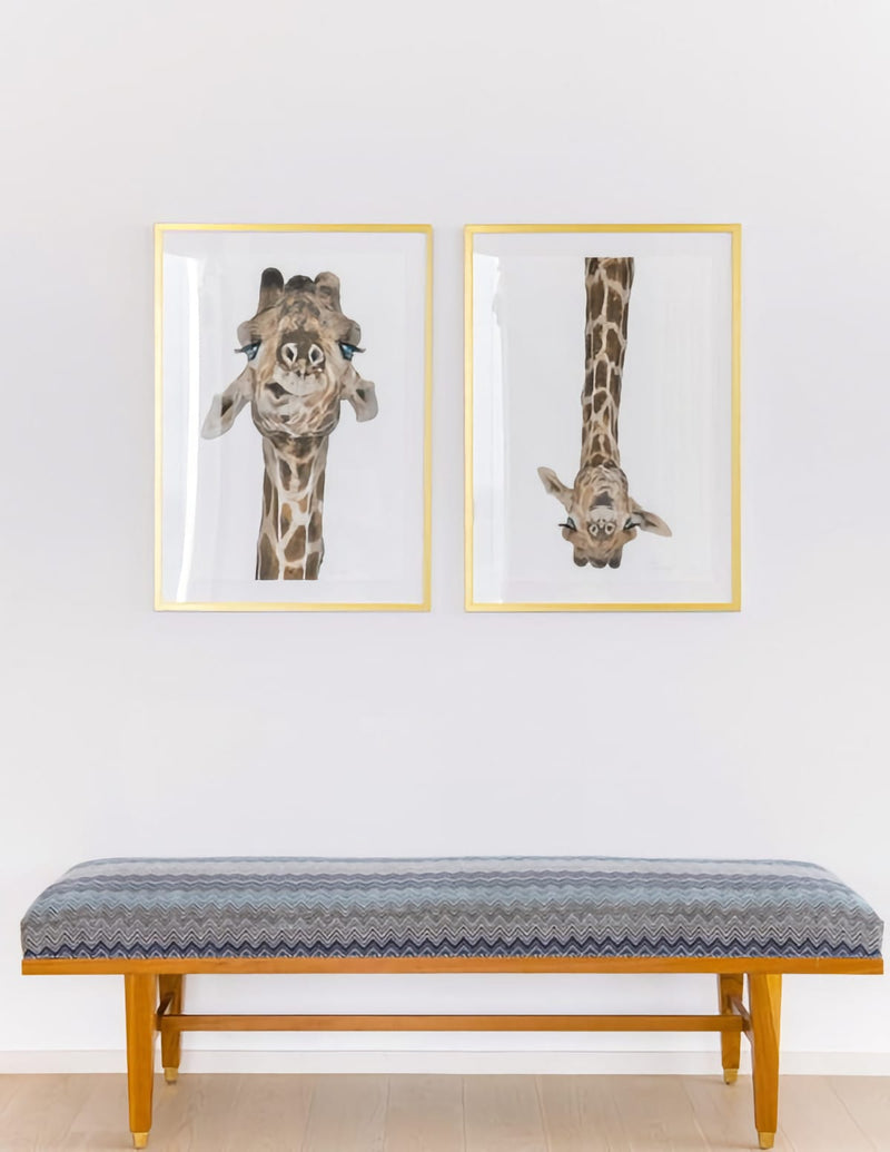 Bench with paintings of giraffes hung above