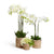 date leaf baskets with orchids