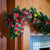 The Oxford Collection Garland